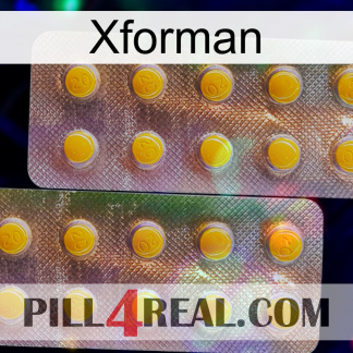 Xforman new10